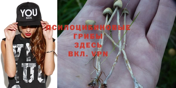 гидропоника Белоозёрский